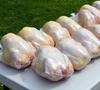 Bolsas de embalaje de plástico retráctil coextruidas de 7 capas para aves de corral y pollo